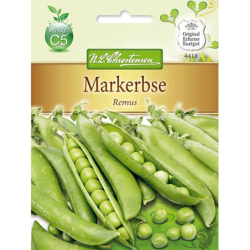 Grašak Remus slika 1 interface.art 78840