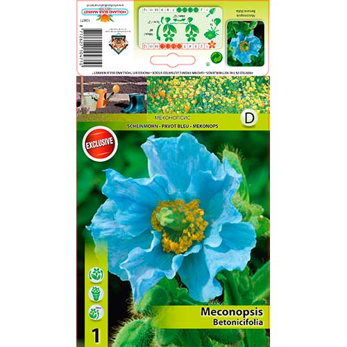 Himalajski plavi mak slika 1 interface.art 76586