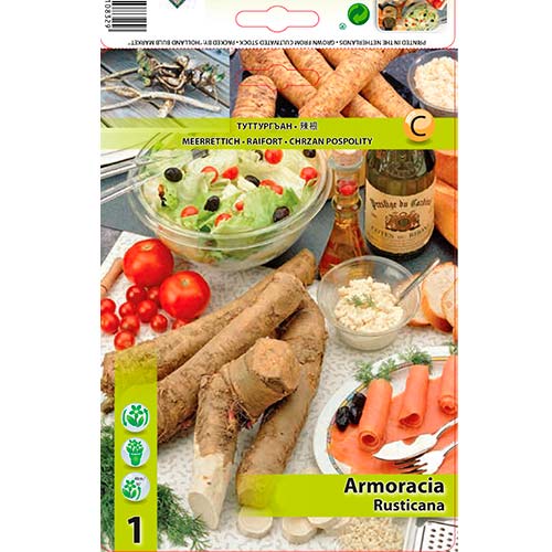 Hren (Armoracia Rusticana) slika 1 interface.art 70503