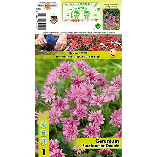 Iglica (Geranium) Southcombe Double slika 1 interface.art 70391