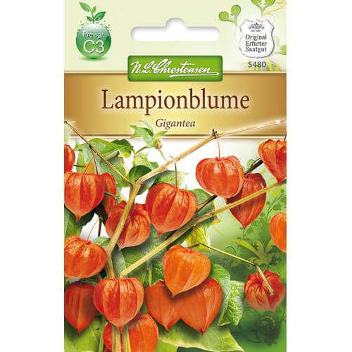 Inkovske jagode Gigantea slika 1 interface.art 78976