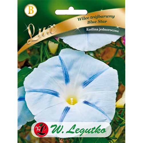 Ipomeja Blue Star Tricolor slika 1 interface.art 86759