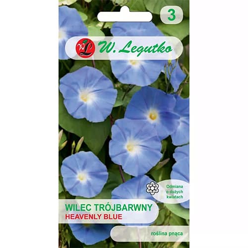 Ipomeja Heavenly Blue slika 1 interface.art 78595