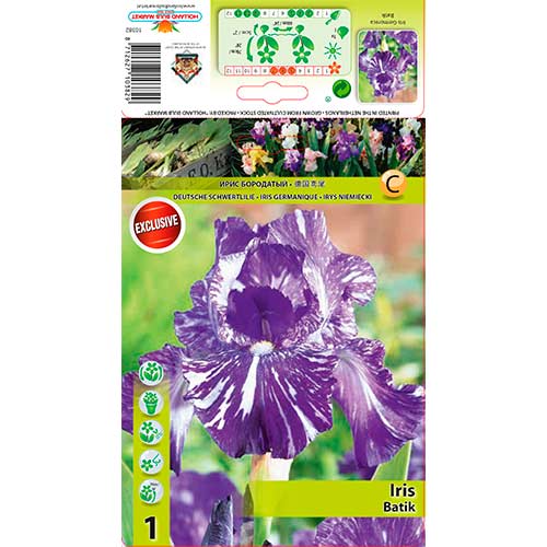 Iris (perunika) Batik interface.art interface.photo 1 Iris (perunika) Batik slika 1 interface.art 76282