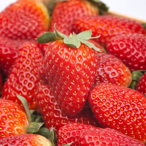 Jagode Alba slika 1 interface.art 5391