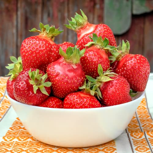 Jagode Asia slika 1 interface.art 5394