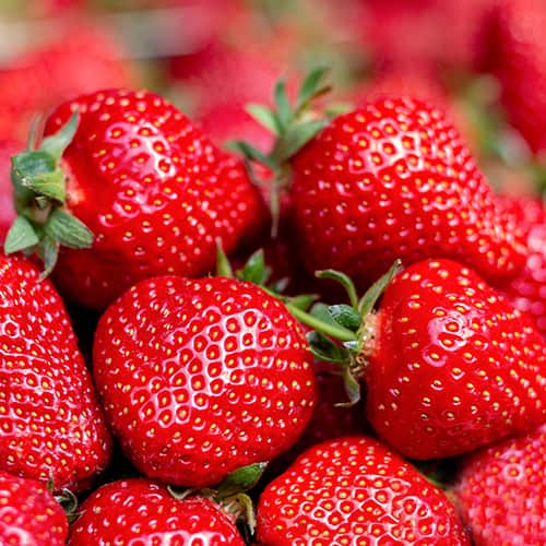 Jagode Florence slika 1 interface.art 5400