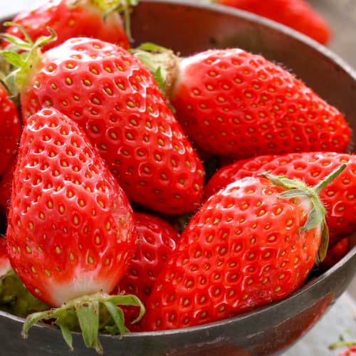 Jagode Gariguette slika 1 interface.art 5197