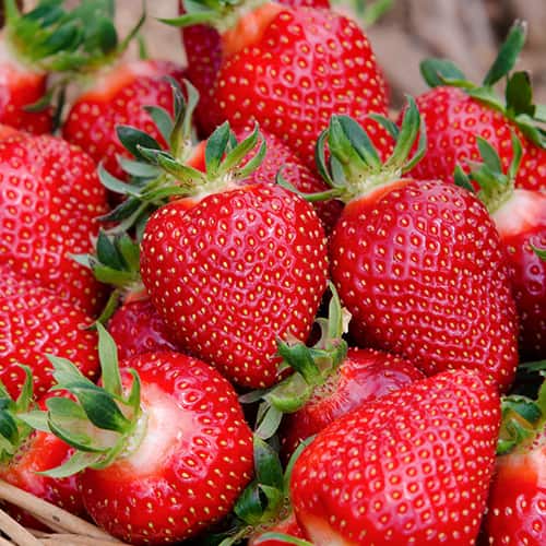 Jagode San Andreas slika 1 interface.art 5411