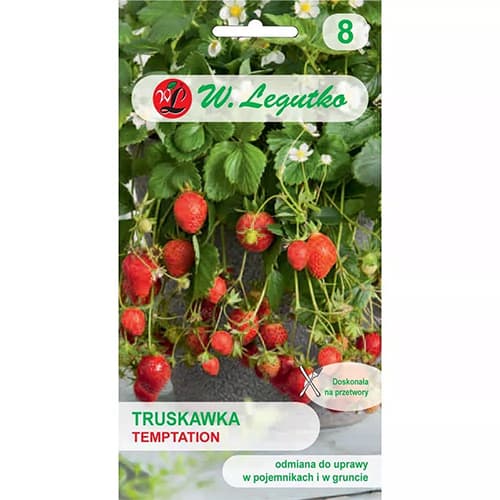 Jagode Temptation interface.art interface.photo 1 Jagode Temptation slika 1 interface.art 69548