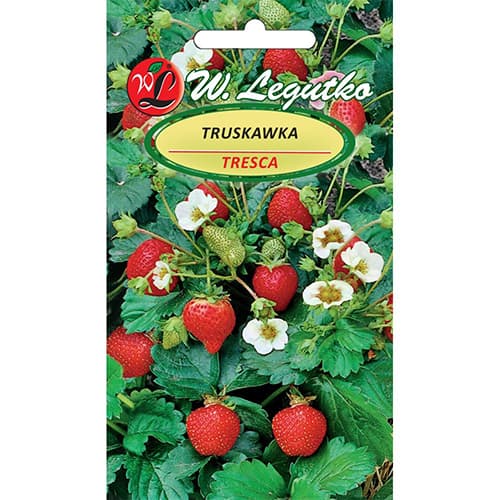 Jagode Tresca interface.art interface.photo 1 Jagode Tresca slika 1 interface.art 86914