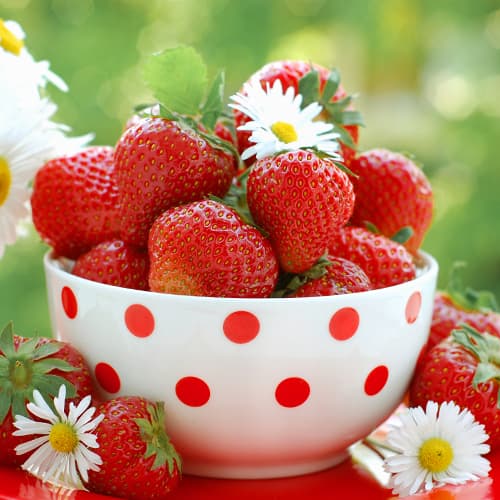 Jagode Vima Zanta slika 1 interface.art 5415