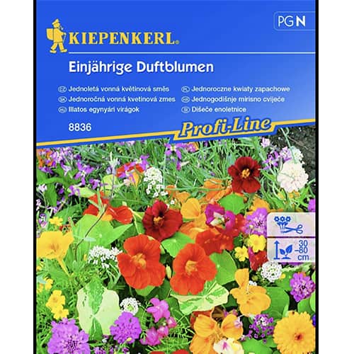 Jednogodišnje mirisno cvijeće, višebojna mješavina slika 1 interface.art 96528