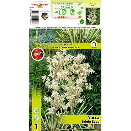 Juka Bright Edge slika 1 interface.art 70456