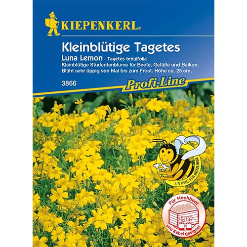 Kadifa Luna Lemon slika 1 interface.art 86347