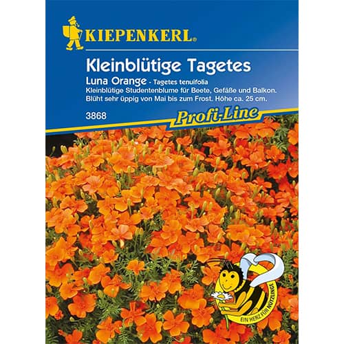 Kadifa Luna Orange slika 1 interface.art 86348