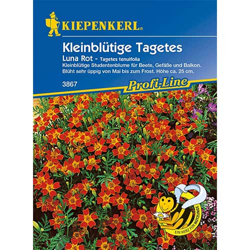 Kadifa Luna Rot slika 1 interface.art 86349