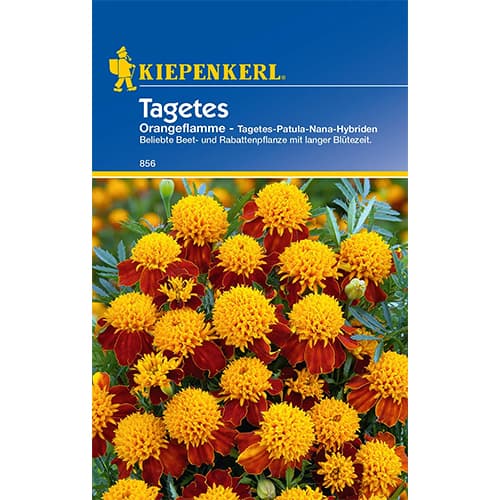 Kadifa Orange Flame slika 1 interface.art 86542