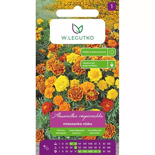 Kadifa, večbarvna mešanica slika 1 interface.art 69551