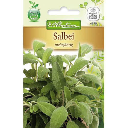 Kadulja Chrestensen slika 1 interface.art 78869