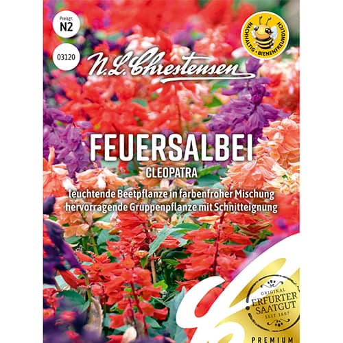 Kadulja Kleopatra slika 1 interface.art 86150