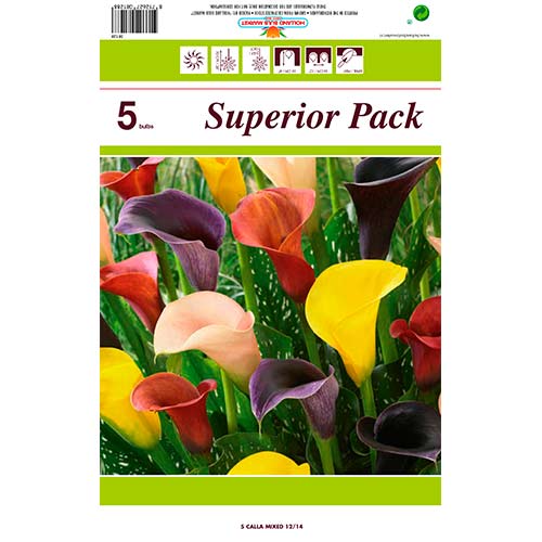 Kala mix multicolor slika 1 interface.art 76396