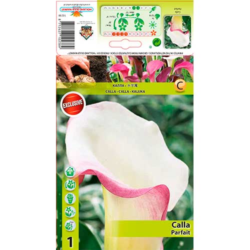 Kala Parfait slika 1 interface.art 76195