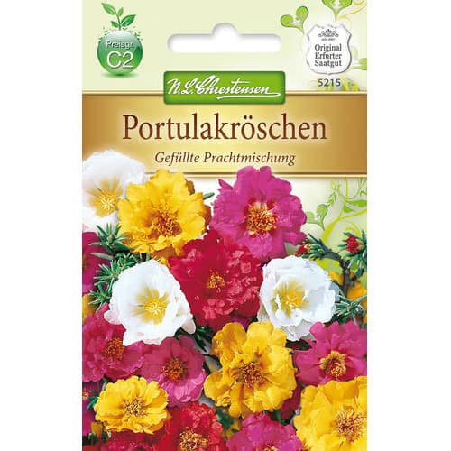 Kameni cvijet, mix multicolor slika 1 interface.art 78931