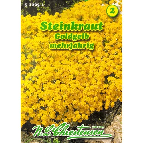 Kamenita trava Alyssuma slika 1 interface.art 78969