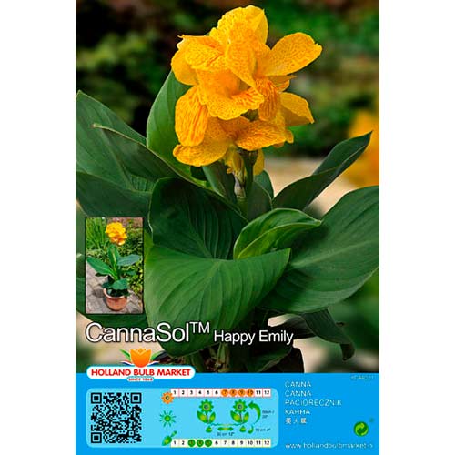 Kana Happy Emily slika 1 interface.art 76402