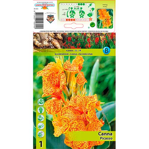 Kana Picasso slika 1 interface.art 76198