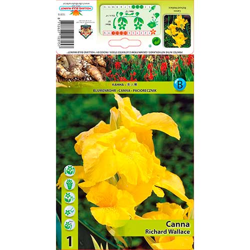 Kana Richard Wallace slika 1 interface.art 70366