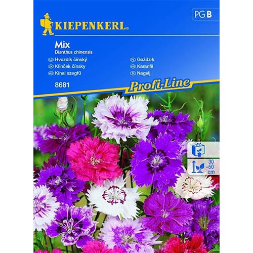 Karanfil, višebojna mješavina slika 1 interface.art 96562