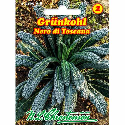 Kelj Nero di Toscana interface.art interface.photo 1 Kelj Nero di Toscana slika 1 interface.art 50050