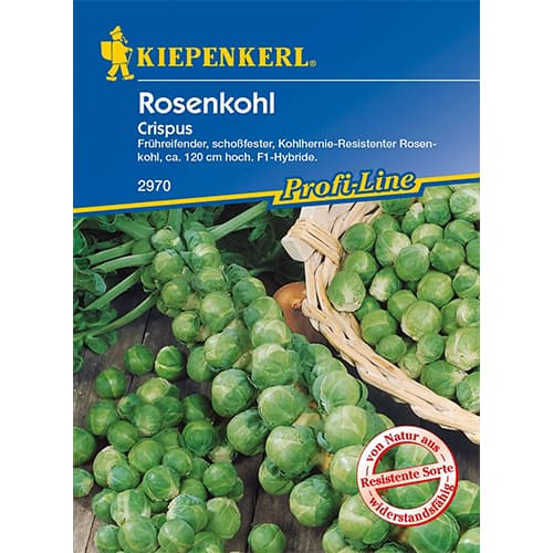 Kelj pupčar Crispus slika 1 interface.art 96658