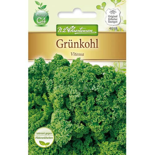 Kelj Vitessa slika 1 interface.art 78717