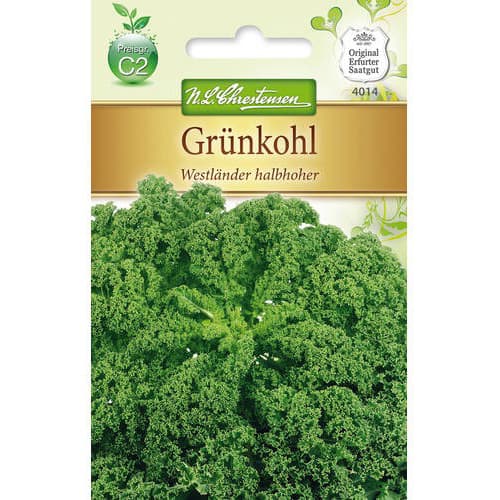 Kelj Westlander slika 1 interface.art 78715