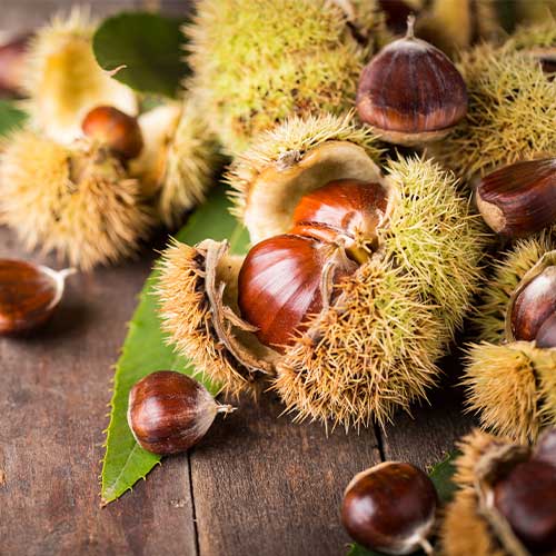 Kesten Melivoias, С2 interface.art interface.photo 1 Kesten Melivoias, С2 slika 1 interface.art 4860