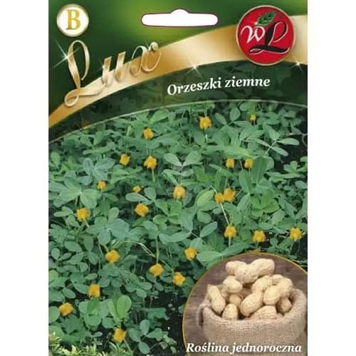 Kikiriki Legutko slika 1 interface.art 78667