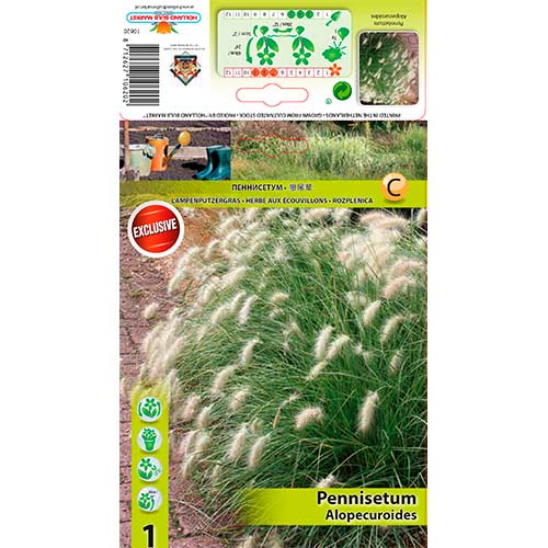 Kineska trava Alopecuroides slika 1 interface.art 76345