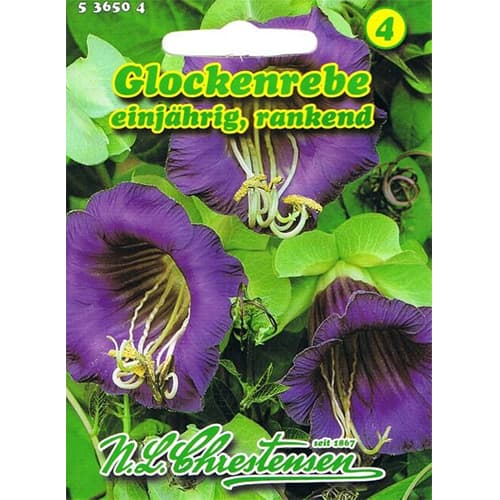 Kobeja Violetblau slika 1 interface.art 78982