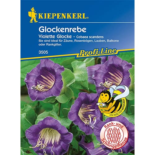 Kobeja Violett slika 1 interface.art 86266