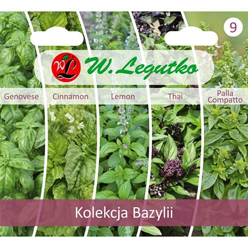 Kolekcija bosiljka, pakiranje od 5 vrsta slika 1 interface.art 96837