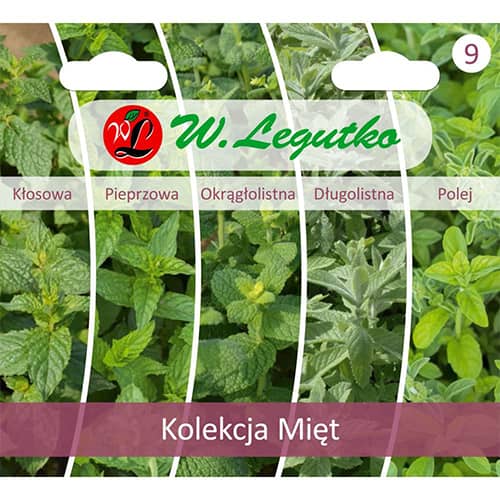 Kolekcija metvica pakiranje od 5 komada slika 1 interface.art 96840