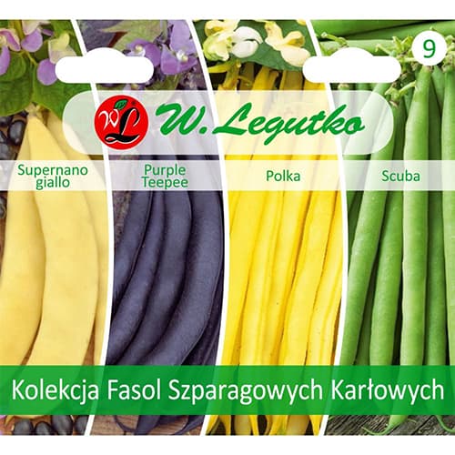 Kolekcija patuljastog graha, pakiranje od 4 sorte slika 1 interface.art 96838