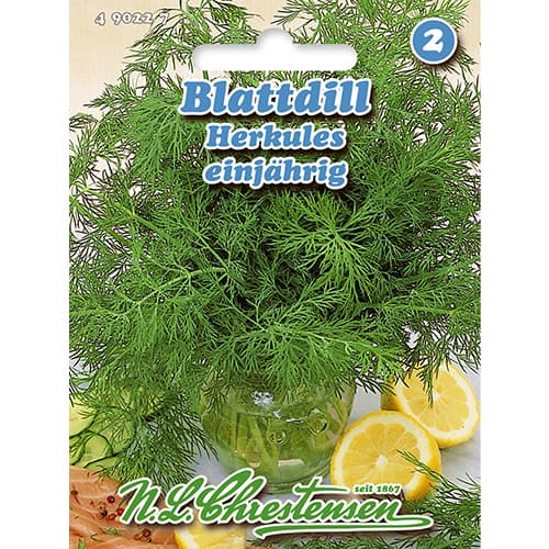 Kopar Herkul slika 1 interface.art 86000