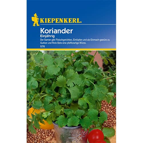 Korijandar jednogodišnji slika 1 interface.art 77463