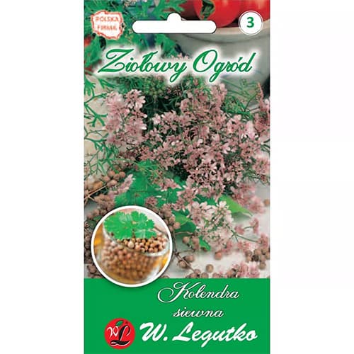 Korijandar Legutko slika 1 interface.art 69674