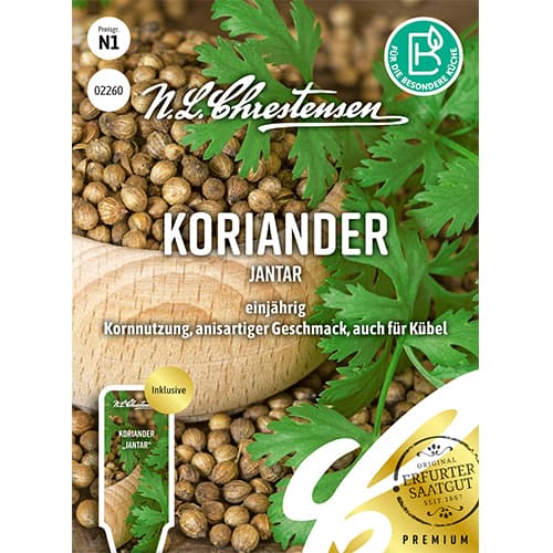 Korijander Jantar slika 1 interface.art 87843