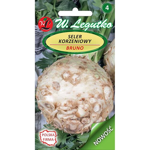 Korijen celera Bruno slika 1 interface.art 86905